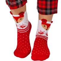 Носки Family Collection р23-29