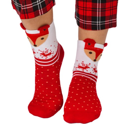 Носки Family Collection р23-29